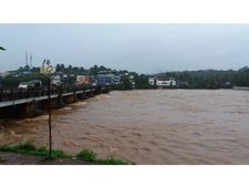 ശ്രദ്ധിക്കുക:  ഈ പ്രചാരണങ്ങൾ  പച്ചക്കള്ളം, വ്യാജന്മാർക്കെതിരെ പ്രതികരണവുമായി പാലക്കാട് ജില്ലാ കലക്ടർ