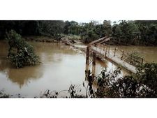  പ്രളയം പാലത്തെ തുടച്ചെടുത്തു:  മൂവാറ്റുപുഴയിലെ തോട്ടഞ്ചേരി തൂക്കുപാലം ഓർമ്മയായി 