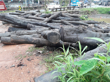 മാലിന്യത്തിൽ നിന്ന് സമ്പാധ്യം കിട്ടി; തോട് ശുചീകരിച്ചപ്പോൾ ലഭിച്ചത് വർഷങ്ങൾ പഴക്കമുളള മരത്തടികൾ 