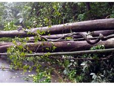 വയനാട്ടില്‍ തലപ്പുഴ ഇടിക്കരയില്‍ ഉരുള്‍പൊട്ടല്‍; തിണ്ടുമ്മലില്‍ മണ്ണിടിച്ചില്‍, മഴക്ക് നേരിയ ശമനം 