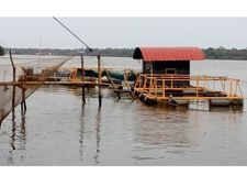 കൂടു മത്സ്യകൃഷി പൂർണ്ണമായും നശിച്ചു: കോടികളുടെ നഷ്ടമെന്ന്, കൊച്ചിയില്‍ സംഭവിച്ചത്