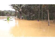 പ്രളയത്തില്‍പ്പെട്ട വയനാട്ടിലെ പുഴകളില്‍ ജലം ക്രമാതീതമായി താഴുന്നു; വിദഗ്ധ പഠനം വേണമെന്ന ആവശ്യം ശക്തമാവുന്നു