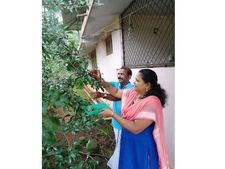  അധ്യാപനത്തോടൊപ്പം കാര്‍ഷികവൃത്തിയിലും തങ്ങളുടെ മികവ് തെളിയിച്ച് അധ്യാപക ദമ്പതികള്‍