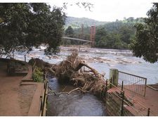  പ്രളയം: അതിരപ്പിള്ളി വിനോദസഞ്ചാര മേഖലയ്ക്ക് കനത്ത നാശം, പ്രതിസന്ധി മറികടക്കാനുള്ള ശ്രമം തുടരുന്നു!!