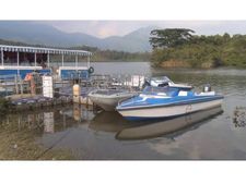 അവധിയെത്തിയിട്ടും ആളനക്കമില്ലാതെ ഇടുക്കിയുടെ വിനോദ സഞ്ചാര ഇടങ്ങള്‍: കുറിഞ്ഞി സീസണ്‍ അവസാനിക്കാറായി