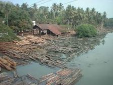 കല്ലായിപ്പുഴയോരത്ത് ജണ്ട കെട്ടുന്നതിന് എതിരെ ഹര്‍ത്താല്‍; അനുവദിക്കില്ലെന്ന് വ്യാപാരികള്‍ 