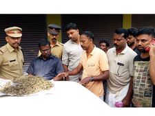    കോളജ് വിദ്യാര്‍ഥികള്‍ക്കായി പ്രത്യേക കഞ്ചാവ് പാക്കറ്റ്, പാക്കറ്റിന് 500രൂപ, വില്‍പന മൂന്നിരട്ടി ലാഭത്തിന്!!