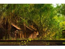 പൈതൃക പാതയിലെ ട്രെയിൻ സർവീസിന് പച്ചക്കൊടിയുണ്ടാവില്ല: ഓൾഡ് റെയിൽവേ സ്റ്റേഷനിൽ നിന്നുള്ള  സർവീസും!!!