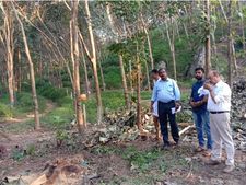  അന്‍വര്‍ എംഎല്‍എയുടെ പാര്‍ക്കിനെതിരെ പരാതി നല്‍കിയ വ്യക്തിയുടെ   എസ്റ്റേറ്റിലെ തേക്ക് മരങ്ങള്‍ മുറിച്ചു കടത്തി, മോഷണം പോയത് അരക്കോടിയുടെ മരങ്ങൾ!!