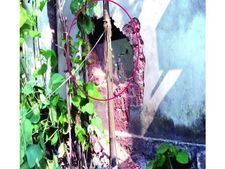  മലപ്പുറം പുളിക്കലിലെ ജ്വല്ലറിയുടെ ചുമര് തുരന്നുള്ള മോഷണം, തമഴ്‌നാട് സ്വദേശികളെ കേന്ദ്രീകരിച്ച് അന്വേഷണം 