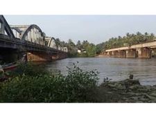 പെട്രോള്‍ പമ്പ് ഉള്ളതൊക്കെ മതി... ഇനി വേണ്ട; കേന്ദ്രത്തോട് ഗതാഗതമന്ത്രി എകെ ശശീന്ദ്രൻ, കേന്ദ്രത്തിന്റേത് പരിസ്ഥിതിയെ ദുർബലപ്പെടുത്തുന്ന നീക്കം!!