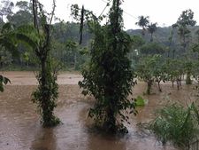  ഓരോ മഴയും ഇടുക്കിയെ  കൂടുതല്‍ മുറിവേല്‍പ്പിക്കുന്നു!!! ജനങ്ങൾ പ്രതിസന്ധിയിൽ...