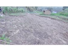  കനത്തമഴയില്‍ വട്ടവടയില്‍ വ്യാപക  കൃഷിനാശം;  അടിയന്തര സഹായം വേണമെന്ന്  കര്‍ഷകര്‍!!!