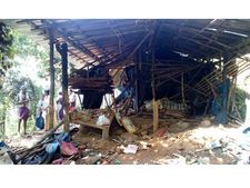 കാടിറങ്ങി കൊമ്പന്‍മാര്‍! അടിമാലിയിലെ ആദിവാസി മേഖലകളില്‍ കാട്ടാന ശല്ല്യം രൂക്ഷം