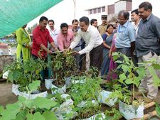 പച്ചക്കറികൃഷിയില്‍ സ്വയംപര്യാപ്ത കൈവരിച്ച് കല്‍പ്പറ്റയിലെ ജിഎസ്ടി ഓഫീസ്; അഭിനന്ദനവുമായി ജില്ലാകലക്ടറുമെത്തി