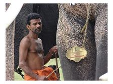   തൃശൂരിൽ ഇടഞ്ഞ ആനയുടെ കുത്തേറ്റ് ചികിത്സയിലായിരുന്ന പാപ്പാൻ മരിച്ചു