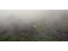  കോടമഞ്ഞ് തേക്കടിയിലും എത്തി...!!! അപൂര്‍വ്വ കാഴ്ചയെന്ന് സഞ്ചാരികള്‍
