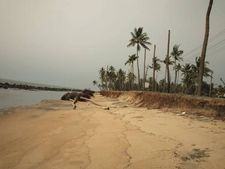 തൃശൂര്‍ പെരിയമ്പലത്ത് തീരം കടലെടുക്കുന്നു: കണ്ടില്ലെന്ന് നടിച്ച് അധികൃതര്‍, കടല്‍ഭിത്തിയുടെ അഭാവം!
