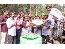  മാതൃക കാട്ടി മീനങ്ങാടി ഗ്രാമപഞ്ചായത്ത്; റോഡ് ടാറിംഗിന് പ്ലാസ്റ്റിക് ഉപയോഗിക്കുന്നു
