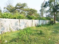 മനുഷ്യ-വന്യജീവി സംഘര്‍ഷം: ലഘൂകരണ നടപടികളുമായി വനംവകുപ്പ്; റെയില്‍ ഫെന്‍സിംഗിന്റെയും കല്‍മതിലിന്റെയും നിര്‍മ്മാണം ഉടന്‍ തുടങ്ങും