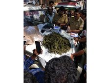 മുഹമ്മയില്‍ വന്‍ കഞ്ചാവ് വേട്ട, രണ്ടര കിലോ കഞ്ചാവുമായി യുവാക്കള്‍ പിടിയില്‍, വില്‍പന കായല്‍ ടൂറിസം മേഖല കേന്ദ്രീകരിച്ച്