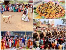 കൊടുങ്ങല്ലൂര്‍ ശ്രീകുരുംബ താലപ്പൊലി: സവാസിനി പൂജ ഭക്തിസാന്ദ്രം,  ക്ഷേത്രത്തില്‍ ആടിനെ നടതള്ളി! 