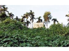 പാരിസ്ഥിതികാഘാത പ്രദേശം: വയനാട് ഗവ. മെഡിക്കല്‍ കോളജ് പദ്ധതി ഉപേക്ഷിക്കാന്‍ നീക്കം
