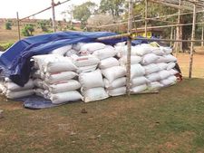 കൃഷിവകുപ്പിന്റെ അനാസ്ഥ: കുന്നംകുളത്ത്  കൊയ്‌തെടുത്ത 80 ടണ്‍ നെല്ല് കെട്ടിക്കിടക്കുന്നു 