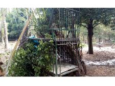 പുലി ഭീതിയില്‍ മേലൂര്‍: ചാലക്കുടിയിൽ വീണ്ടും പുലിയിറങ്ങി, കെണി വെച്ച് വനംവകുപ്പ്