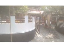 തെച്ചിക്കോട്ട് രാമചന്ദ്രന്‍ ഇടഞ്ഞു; 2 പേരെ ചവിട്ടി കൊന്നു, നിരവധി പേര്‍ക്ക് പരിക്ക്  !!