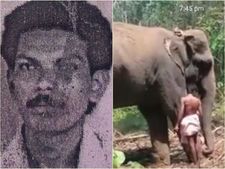 മലപ്പുറം കരുവാരക്കുണ്ടില്‍  ആനയുടെ ചവിട്ടേറ്റ് പാപ്പാന്‍ മരിച്ചു;  രണ്ടാം പാപ്പാനാണ് മരിച്ചത്...