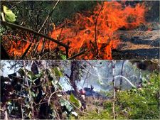വയനാട്ടില്‍ വ്യാപക തീപിടുത്തം: കുപ്പാടി ഫോറസ്റ്റ് സെക്ഷനില്‍ ഹെക്ടര്‍ കണക്കിന് വനം കത്തിനശിച്ചു, കല്‍പ്പറ്റയിലും, കമ്പനിക്കുന്നിലും വണ്ണാത്തിമലയിലും, കുറിച്യര്‍മലയിലും തീപിടുത്തം