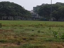 കോടികൾ ചിലവഴിച്ച മൈതാനങ്ങൾക്ക് സംരക്ഷണമില്ല; പശ്ചിമ കൊച്ചിയിലെ കളി മൈ താനങ്ങൾ സംരക്ഷണമില്ലാതെ നശിക്കുന്നു