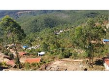   തോട്ടം തൊഴിലാളികള്‍ക്ക് വീടുകളൊരുങ്ങുന്നു... ആദ്യഘട്ടം കുറ്റിയാര്‍വാലിയില്‍...!!!