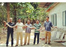 വീട്ടിന്റെ കുളിമുറിയില്‍ നിന്നും രാജവെമ്പാലയെ പിടികൂടി: 2019ല്‍ പിടികൂടിയത് നാല് രാജവെമ്പാലകളെ!! 