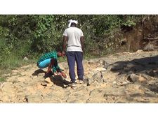  റോഡില്ല, വിളകള്‍ വില്‍ക്കാന്‍ കഴിയുന്നില്ല;  ഇത് ഇടമലക്കുടിയിലെ കര്‍ഷകരുടെ വാക്കുകള്‍! ഉല്‍പ്പന്നങ്ങളുടെ വിലയിടിവും  ഇവ വിപണിയില്‍ എത്തിക്കുന്നതിനുള്ള അമിതമായ ചിലവും  ഇടമലക്കുടിയിലെ  കര്‍ഷകരെ ബുദ്ധിമുട്ടിലാക്കുന്നു!