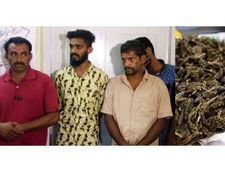  പോലീസിനു നേരെ കഞ്ചാവു മാഫിയുടെ ആക്രമണം. 4 പേര്‍ പിടിയില്‍;  അക്രമണം നടത്താന്‍ ആയുധങ്ങളും!
