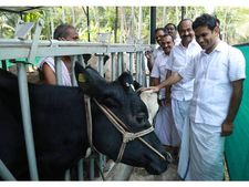 പ്രളയാനന്തര കേരളം പടുത്തുയർത്തുന്നതിൽ സർക്കാർ പൂർണ പരാജയം: ഹൈബി ഈഡൻ 