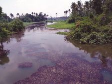കനത്തവേനലിലും ആശ്വാസം നല്കി കണിച്ചാംതുറ ഓക്‌സ്‌ബോ തടാകം;  തടാകം സംരക്ഷിക്കാന്‍ ഇനിയും നടപടിയാകുന്നില്ല