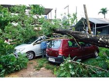 കനത്തമഴയില്‍ കല്‍പ്പറ്റയില്‍ വ്യാപക നാശനഷ്ടങ്ങള്‍; കാറുകള്‍ക്ക് മുകളിലേക്ക് മരം വീണു, അപകടം ഒഴിവായത് തലനാരിഴക്ക്
