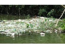  മാലിന്യ വാഹിനിയായി മുതിരപ്പുഴ: ശുചീകരണത്തിനുള്ള സബ്കളകടറുടെ ഇടപെടലും ലക്ഷ്യം കണ്ടില്ല!!