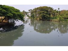 പെരിയാർ വീണ്ടും കറുത്ത് കലങ്ങി ഒഴുകി; കളമശേരി നഗരസഭയുടെ അനാസ്ഥയെന്ന് പിസിബി