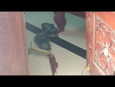 വള്ളിക്കുന്നത്ത് വീട് കുത്തിത്തുറന്ന് 70 പവൻ കവർന്നു; നാടിനെ നടുക്കി മോഷ്ടാക്കൾ, സിസിടിവി ദൃശ്യങ്ങൾ പോലീസ് പരിശോധിക്കും