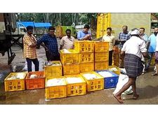 വീണ്ടും അന്യസംസ്ഥാനത്ത് നിന്നും പഴകിയ മത്സ്യമെത്തുന്നു; 1400 കിലോ പഴകിയ മത്സ്യം പിടികൂടി കുഴിച്ചുമൂടി