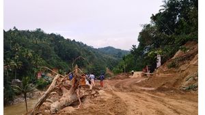 ഇടുക്കിയില്‍ ആഗസ്റ്റ് 31 വരെ മണ്ണു നീക്കം ചെയ്യല്‍ നിരോധിച്ചു; കാലവർഷം നേരിടാൻ നടപടി