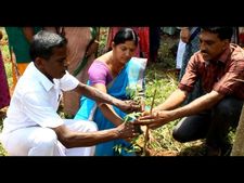  പരിസ്ഥിതി ദിനത്തില്‍ പച്ചത്തുരുത്ത് ഒരുക്കി കുടയത്തൂര്‍; പച്ചത്തുരുത്തില്‍ ഔഷധ ചെടികളും !