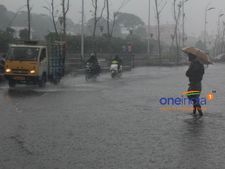 മഴക്കാല മുന്നൊരുക്കങ്ങളുമായി ജില്ലാ ഭരണകൂടം: അപകടാവസ്ഥയിലുള്ള മരങ്ങൾ ഒരാഴ്ചയ്ക്കകം മുറിച്ചുമാറ്റും