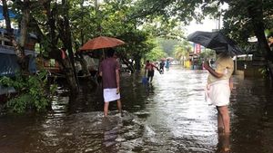 ആലപ്പുഴ ജില്ലയിൽ മഴ കനത്തു; ദുരിതാശ്വാസ ക്യാമ്പുകൾ തുടങ്ങി, ദുരിതം പേറി കുട്ടനാട് നിവാസികൾ