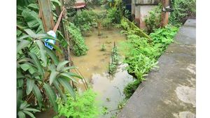 തൃശൂരിൽ ടോള്‍ കമ്പനിയുടെ കാന നിര്‍മ്മാണത്തില്‍ അപാകത;  ദേശീയപാതയോരത്തെ കുടുംബം വെള്ളക്കെട്ടില്‍!! 