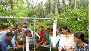  കാസർഗോഡ് മഞ്ഞപ്പിത്തം പടരുന്നു; പ്രതിരോധ പ്രവര്‍ത്തനങ്ങള്‍ ഊര്‍ജ്ജിതമാക്കി ആരോഗ്യ വകുപ്പ്